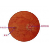 汉阳近视手术眼科机构/行业领先 找准汉阳爱尔眼科